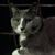 Jackie Johnson's profile image