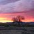 Kimberly Breedlove Lunt's profile image