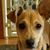 Nydia Isabel's profile image