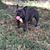 Emerson Huezo's profile image