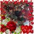 Joan Johnson's profile image