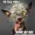 Jeanette Sherrick's profile image