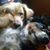 Kathe Serritelli's profile image