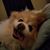 Stephanie Hock's profile image