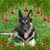 KC Cooper's profile image