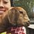 Tammy Stowe McClure's profile image