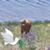 Laurie Campbell's profile image