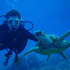 Gail B.'s profile image