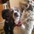 Julie Keller Hostager's profile image