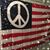 Deborah Clark Chilcott's profile image
