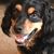 Kathy Frederick's profile image