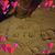 Jessica Mayorga-Myles's profile image