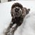 Katelyn Sofka's profile image