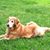 Linda Jacques's profile image