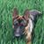 Dawn Polensky's profile image