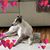 Rosalie Miller's profile image