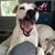Susan Shankle's profile image