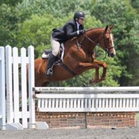 Shannon deWit's profile image