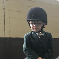 Liz Saramago's profile image