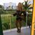 Tiffany Lacey's profile image