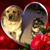 Kathy Browne Avery Hood's profile image