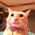Athena Sweeney Chavez's profile image