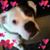 Lynn Powers Ferguson's profile image