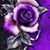 Melissa Thomas's profile image