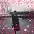 Bonnie Lyman Peppers's profile image