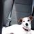 Suzanne Ettinger Mooney's profile image