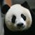 Nina Gilden Seavey's profile image
