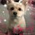 Katherine Marie's profile image
