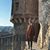 Christian Mihai G's profile image