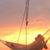 Lyndon R Seales's profile image