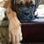 Jill Bolander Vitale's profile image