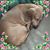 Barbara Tyson Horvath's profile image