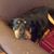 Lori McNicol's profile image