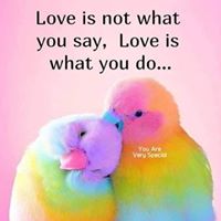 Brenda Burch's profile image