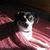 Kim L Lewis's profile image