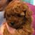 Shirley Kallaher's profile image