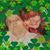 Carol Vandoren's profile image