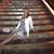Andrea Tenuta's profile image
