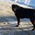 Stephanie McMillan's profile image