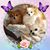 Laura Belcher's profile image
