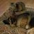 Heather Murphy's profile image