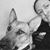 Gwyn Carmean's profile image
