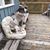 Juliann Pelhank Silveus's profile image