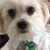 Joan F Francis's profile image