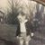 Dallas K. Risner's profile image