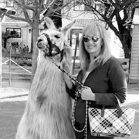 Laura Ehlers Wards's profile image